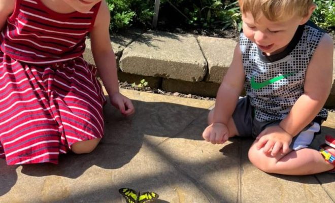 Children look at butterfly on ground